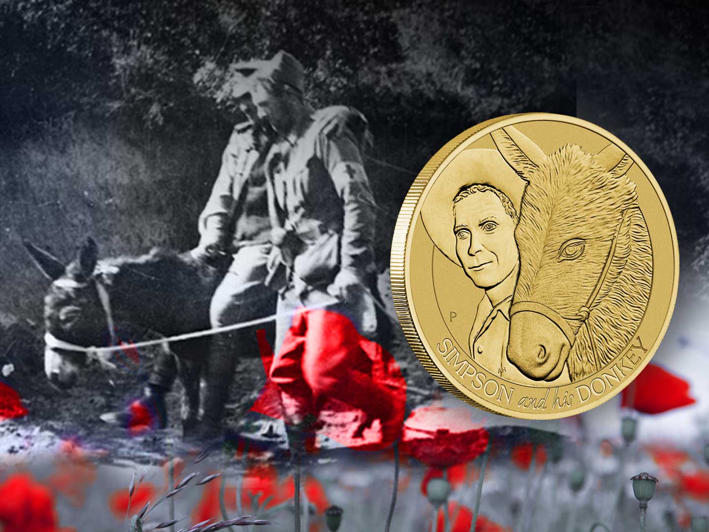 Hero Simpson 1440 x 1080