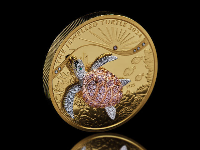 Jewelled Turtle shadow image 640X480